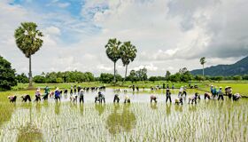Begin your visa-prepared day with Vietnam’s tranquil ambiance